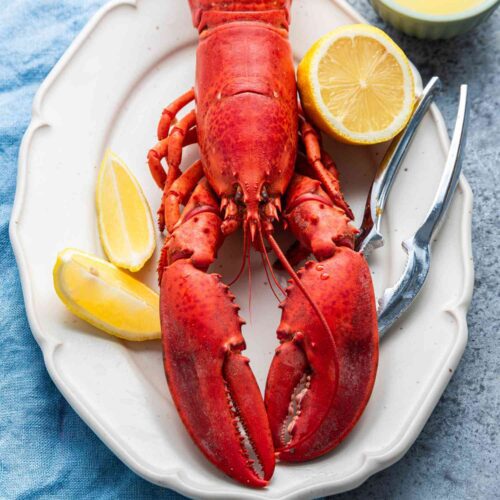 Lobster